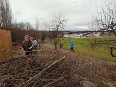 Arbeitseinsatz Obstwiese02.jpg