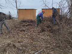 Arbeitseinsatz Obstwiese10.jpg